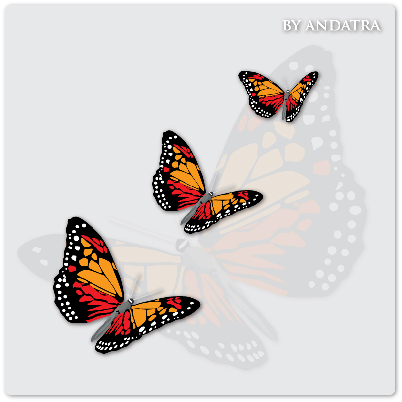 Charming butterflies with butterfly background vector graphics 02 vector graphics vector graphic Charming butterfly butterflies background vector background   
