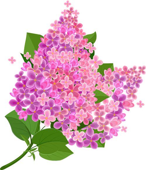 Gree leaf with pink flower background vector 01 pink leaf flower background flower background vector background   
