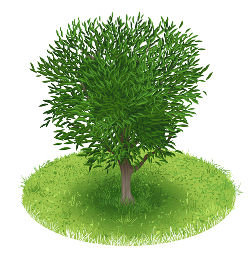 Spring green tree design vector graphic 04 vector graphic tree spring green   