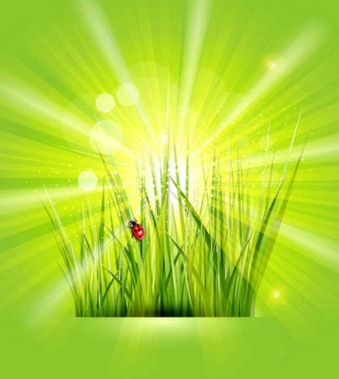 Grass with sunlight green background shiny vector shiny green free background   