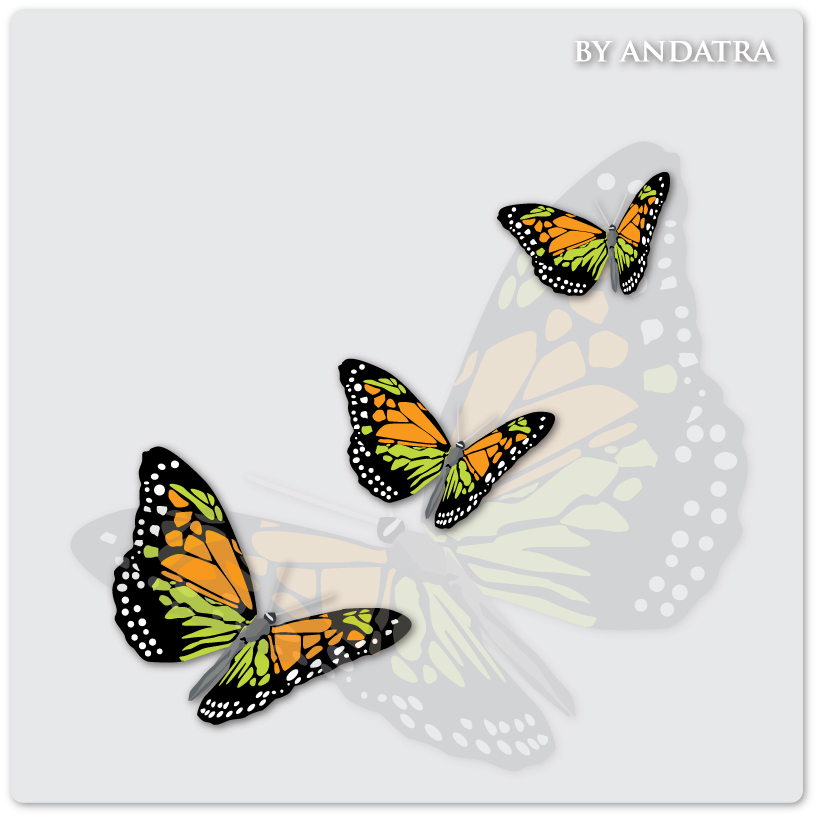Charming butterflies with butterfly background vector graphics 03 vector graphics Charming butterfly butterflies background vector background   