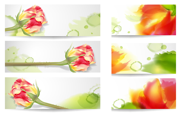 Rose banner vector rose banner   