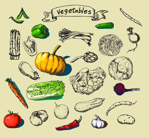 Hand drawn vegetables creative vector material vegetables vegetable vector material material hand drawn creative   