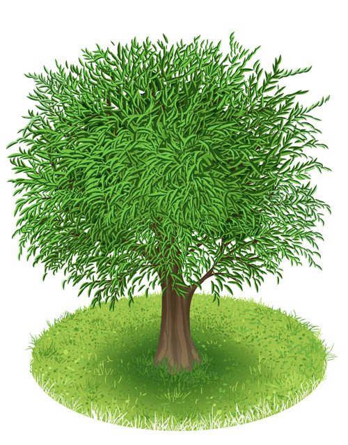 Spring green tree design vector graphic 01 vector graphic tree spring green   