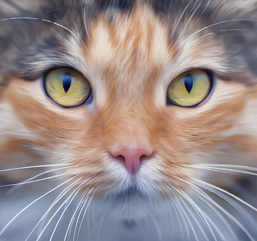 Realistic cat face design vector realistic face cat   