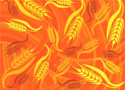 Bright golden wheat background vector wheat golden bright background   