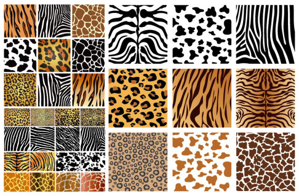 Animal texture background vector graphics zebra tiger skin leopard fur background animal pattern Animal   