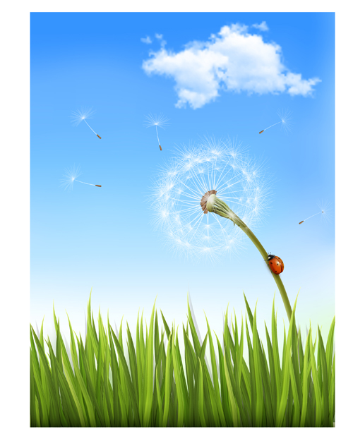 Green grass with dandelion natural elements vector natural green grass green grass elements element dandelion   