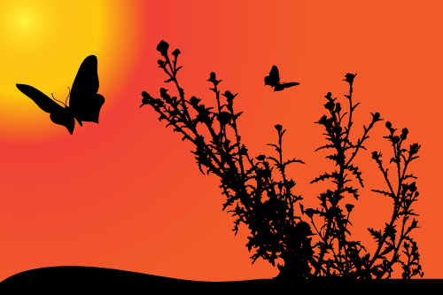 Sunset with butterfly silhouette vector material 05 sunset silhouette butterfly   