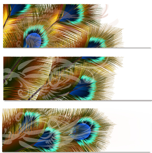 Beautiful peacock feathers vector banners peacock feathers beautiful banners   