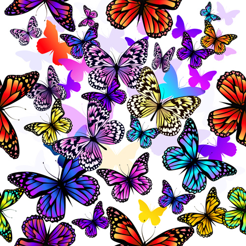 Colorful butterflies vector seamless pattern seamless pattern colorful butterflies   