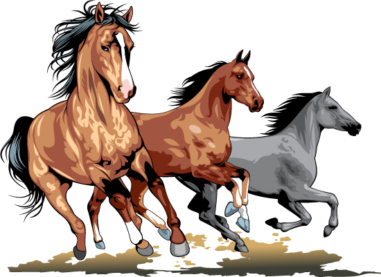 Realistic running horses vector graphics 05 running realistic horses   