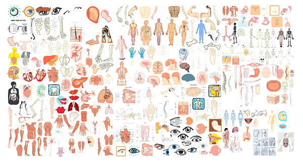 Elements of structure of the human body organs Vector the structure organs human body   