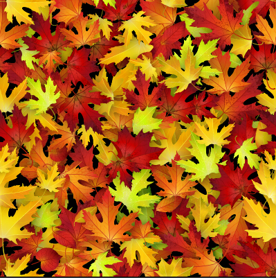 Realistic autumn leaves pattern vector graphics 07   