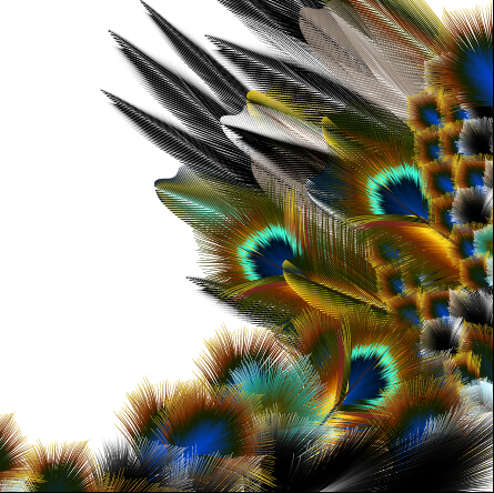 Beautiful peacock feathers background graphics 02 peacock feathers beautiful background   