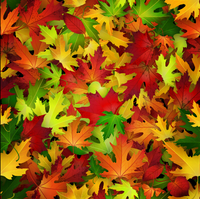 Realistic autumn leaves pattern vector graphics 05 realistic pattern autumn leaves autumn   