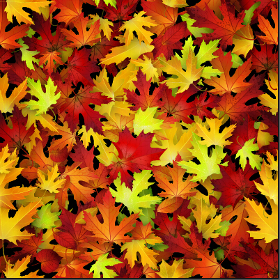 Realistic autumn leaves pattern vector graphics 06 realistic pattern leaves autumn leaves autumn   