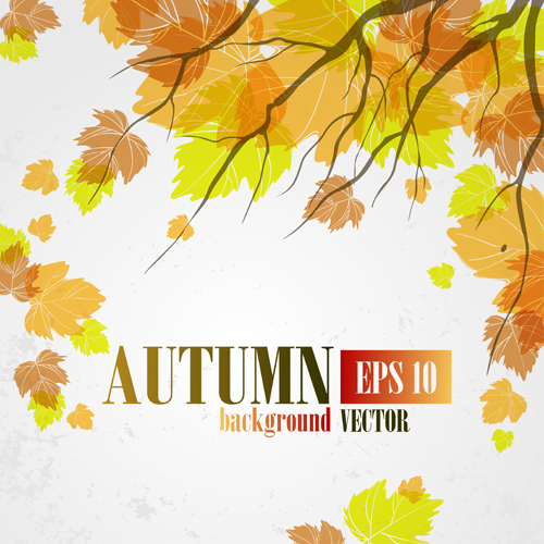 Vector Autumn leaves background graphic 03 background autumn   