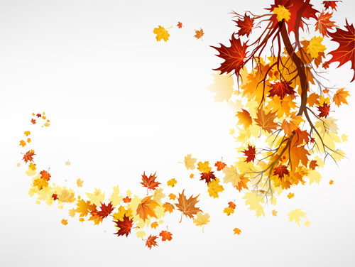 Vector Autumn leaves background graphic 02 leaves background autumn leaves   