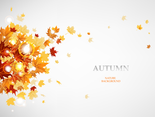Vector Autumn leaves background graphic 01 leaves background autumn   