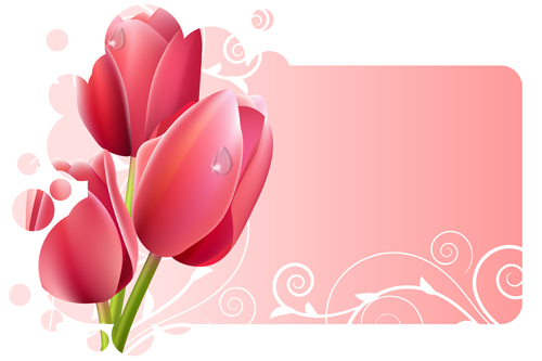 Vector of Spring Fresh Flower Frame set 06 spring frame flower   