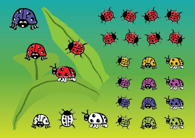 Ladybugs Vector vector ladybugs   