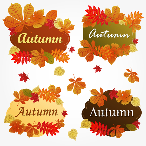 Different Autumn leaves frames vector set leaves leave frames frame different autumn   