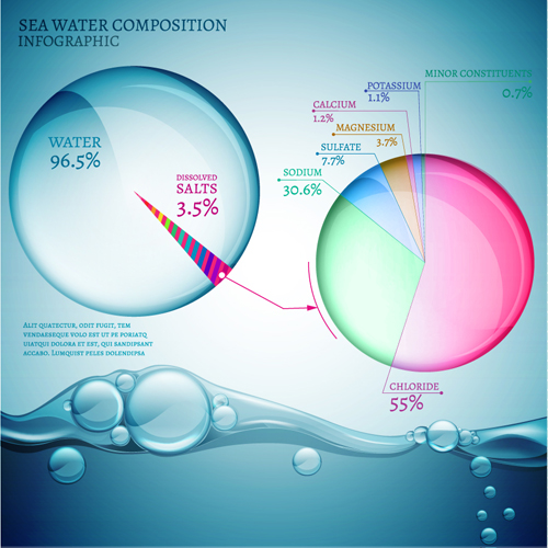 Sea water composition infographic vector 01 sea water sea infographic Composition   