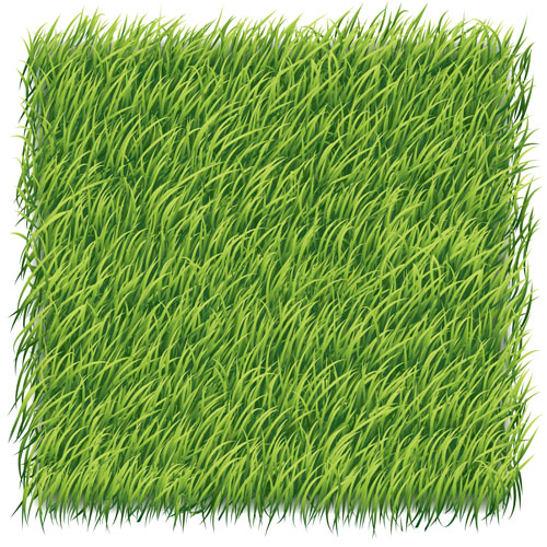 Green grass art backgrounds vector green grass green background   