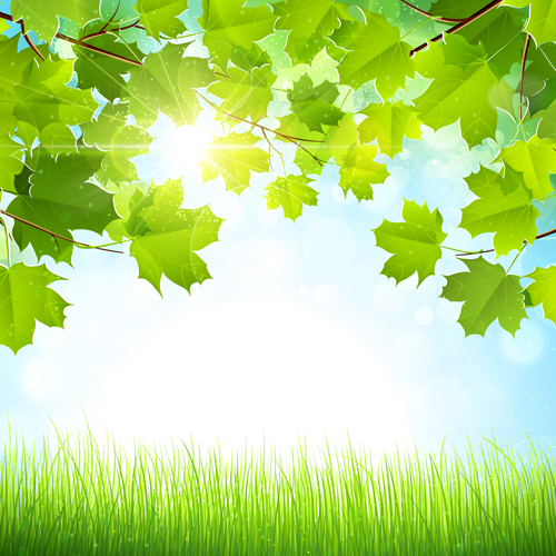 Summer green leaves with sunlight vector background 03 Vector Background sunlight summer leave green leaves background Summer green leaves with sunlight vector background 03 Vector Background sunlight summer leave green leaves background