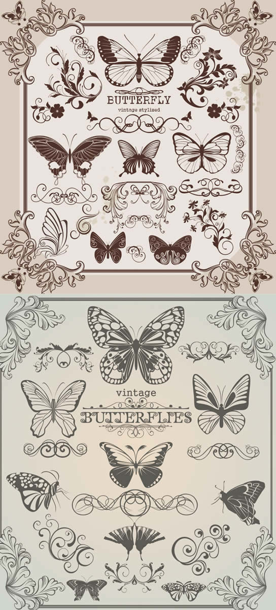 Butterfly floral Border vector pattern lace butterfly   