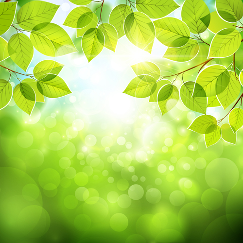Summer green leaves with sunlight vector background 02 sunlight summer leaves leave green leaves background   