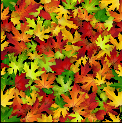 Realistic autumn leaves pattern vector graphics 01 realistic pattern leaves autumn leaves autumn   