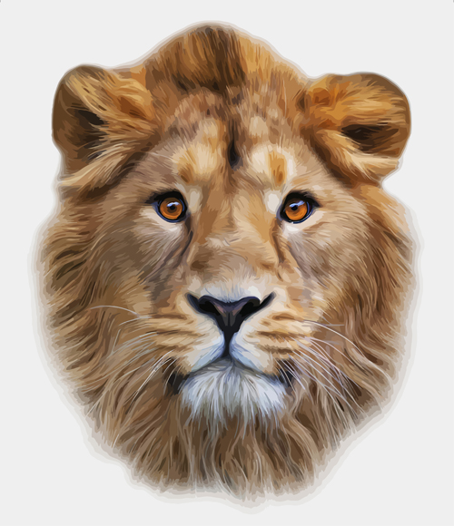 Realistic Lion head design vector realistic lion head lion design   
