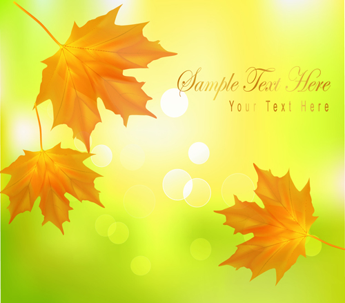 Yellow Autumn Leaves vector backgrounds set 01 yellow leaves leave autumn   