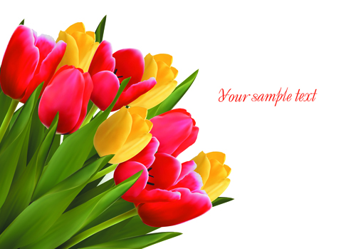 Vivid Tulips backgrounds vector 02 tulips backgrounds background   