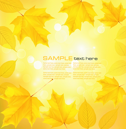 Yellow Autumn Leaves vector backgrounds set 04 yellow leaves leave autumn   