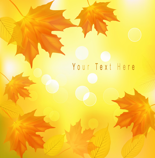 Yellow Autumn Leaves vector backgrounds set 02 yellow leaves leave autumn   