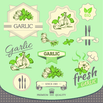 Fresh Food label design vector 05 label fresh food label food   