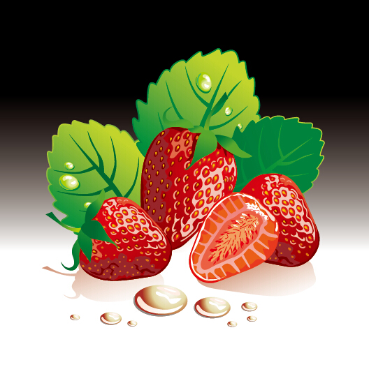 Juicy fresh strawberries set vector 02 strawberries juicy fresh berries   