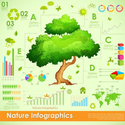 Nature Style Infographics design vector 01 style nature infographics infographic   