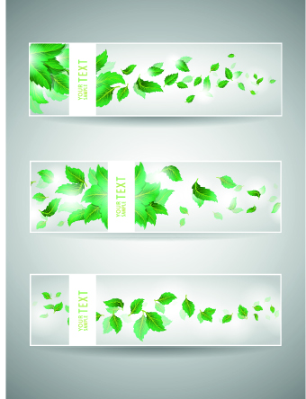 Classic banner design vector 05 classic banner   