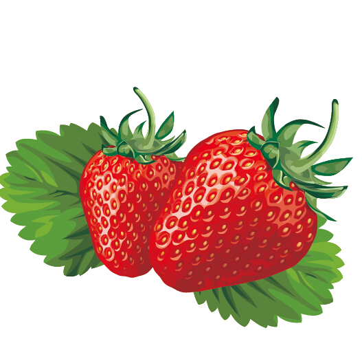 Juicy fresh strawberries set vector 03 strawberries juicy fresh berries   