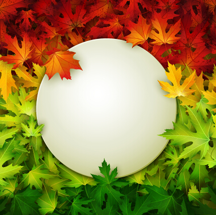 Autumn leaves beautiful background art 03 beautiful background autumn leaves autumn   