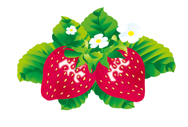 Juicy fresh strawberries set vector 01 strawberries juicy fresh   