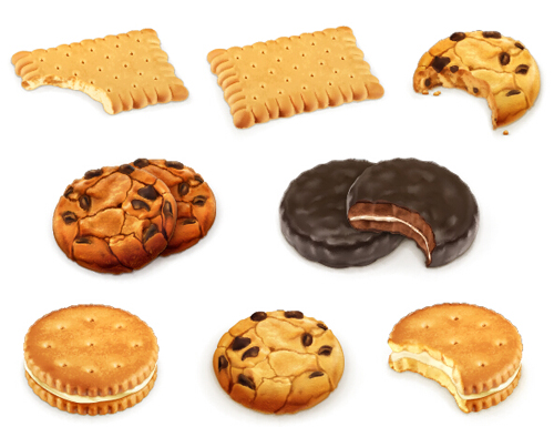 Biscuit food design vectors 04 food design biscuit   