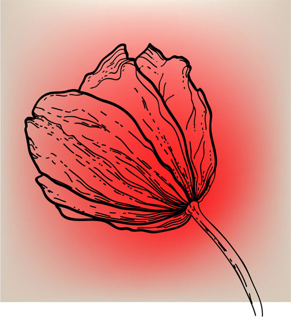 Vivid Hand drawn Tulip background vector 01 vivid tulip hand drawn   