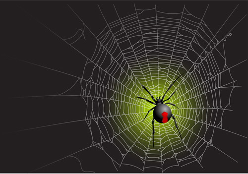 Vector spider web design background graphics 05 web design spider web spider   