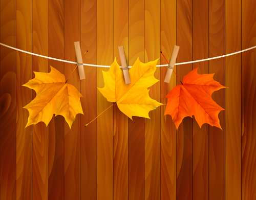Beautiful Autumn leaves background vector 01 leaves background beautiful background vector background autumn leaves   