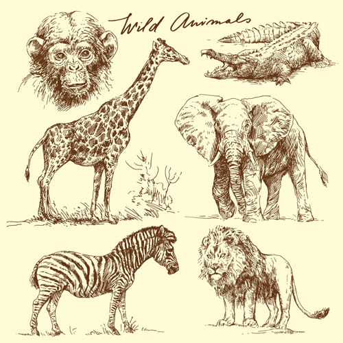 Hand drawn wild animal design vectors 01 wild hand drawn Animal   